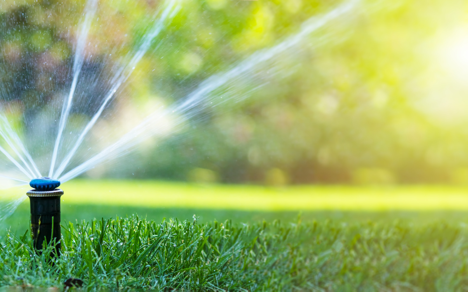 canva-irrigation-system-in-home-garden.-automatic-lawn-sprinkler-watering-green-grass.-selective-focus.-MAFmTgl0r9U