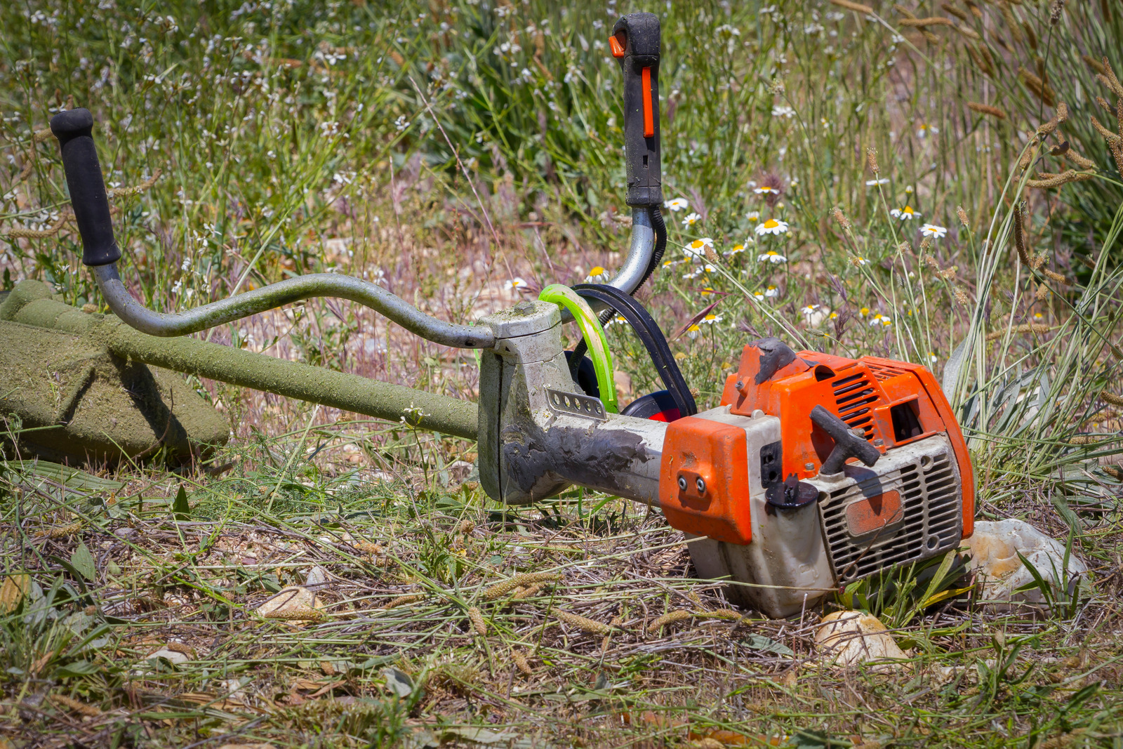 brush cutter, cutting weeds in a garden